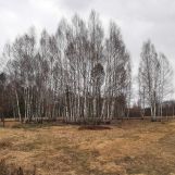 Działka budowlana Daleszyce. Zdjęcie 1