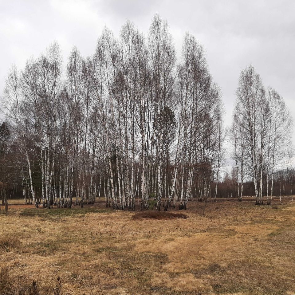 Działka budowlana Daleszyce. Zdjęcie 2