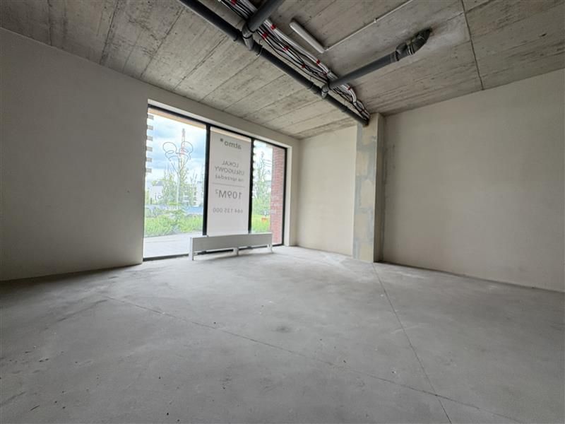 Lokal Wrocław, Most Romana Dmowskiego. Zdjęcie 3