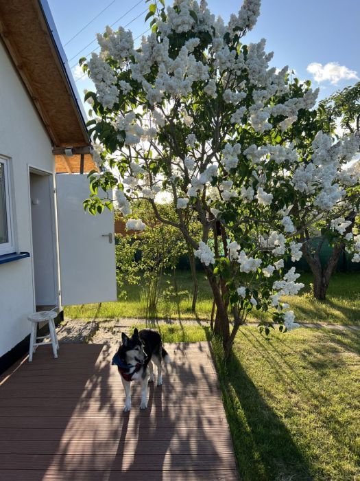 Działka rod Gdańsk Kokoszki, ul. Nowatorów. Zdjęcie 11