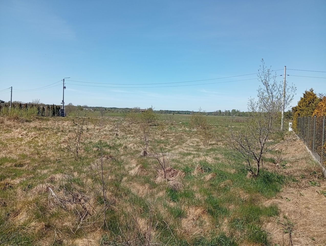 Działka budowlana Olszewo-Borki, ul. Zacisze. Zdjęcie 5