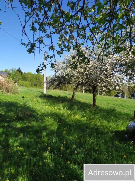 Działka siedliskowa Ptaszkowa. Zdjęcie 5