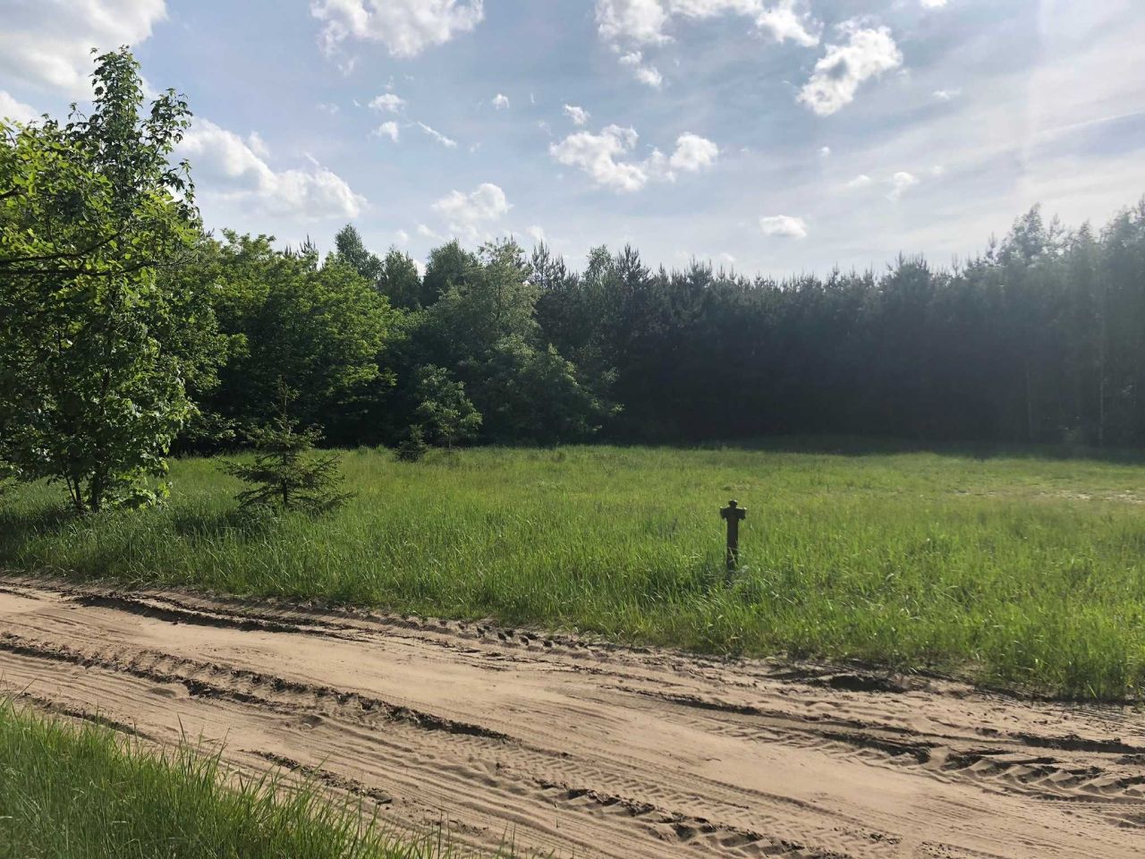 Działka Rożenno. Zdjęcie 3