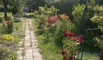 Działka rekreacyjna Piekary Śląskie, ul. Olimpijska