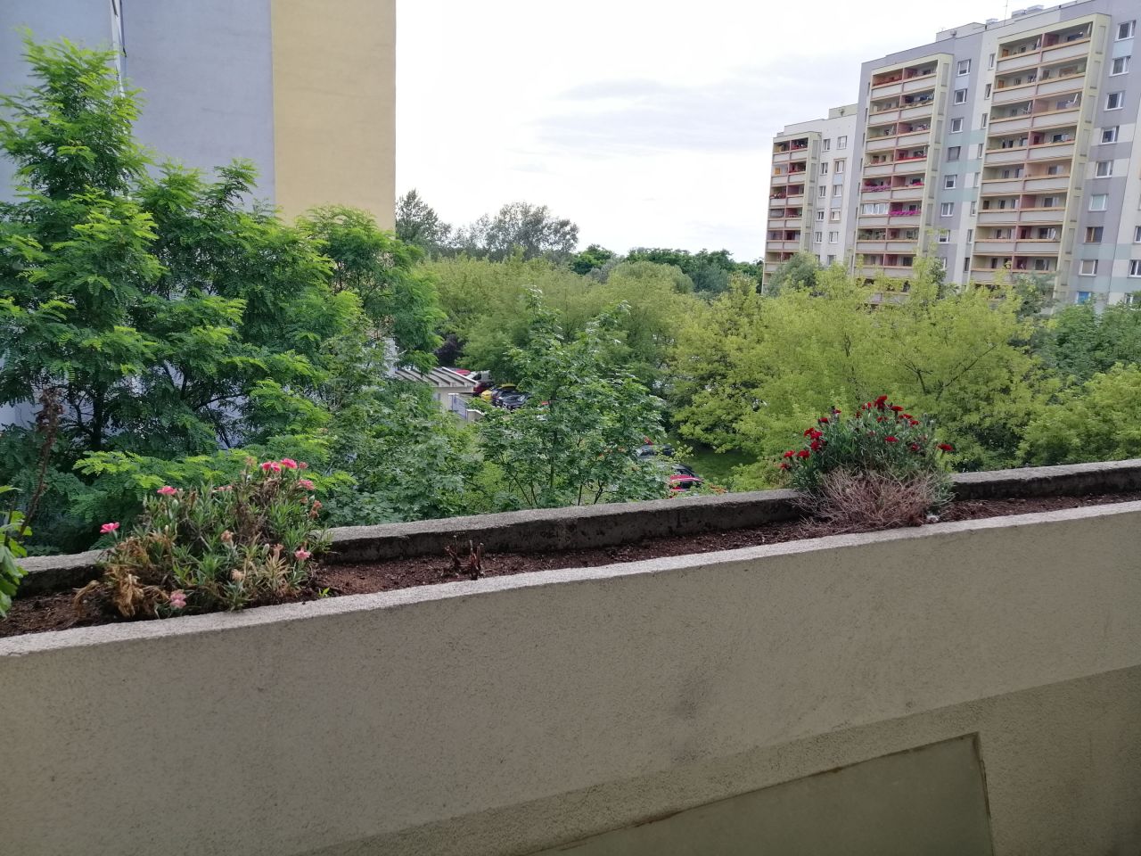 Mieszkanie 2-pokojowe Wrocław Fabryczna, ul. Jerzego Bajana. Zdjęcie 5