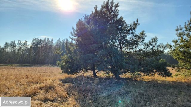 Działka budowlana Szadki. Zdjęcie 1