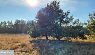 Działka budowlana Szadki