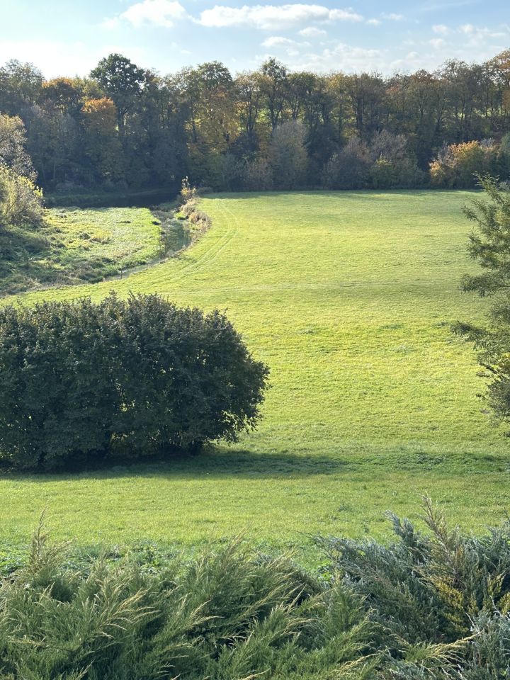 dom wolnostojący, 11 pokoi Witaniów. Zdjęcie 10