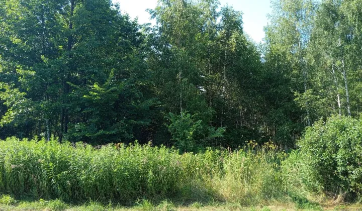 Działka budowlana Rososz