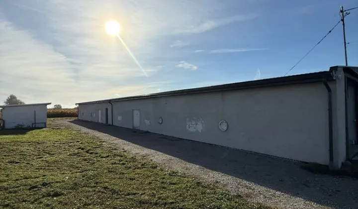 Hala/magazyn Pielgrzymowice