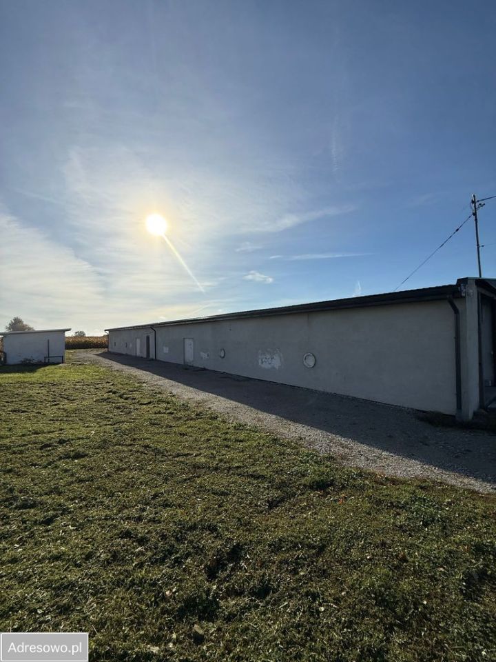 Hala/magazyn Pielgrzymowice