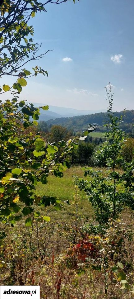 Działka budowlana Piaski-Drużków Chabalina. Zdjęcie 10