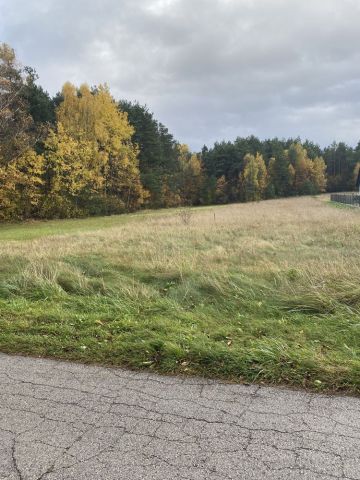 Działka leśna Strawczyn, ul. Skrajna. Zdjęcie 1