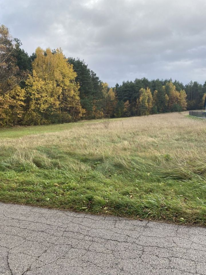 Działka leśna Strawczyn, ul. Skrajna