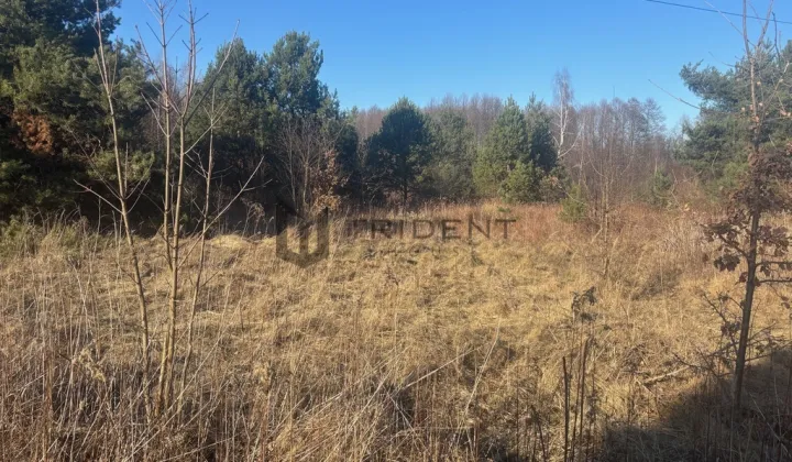 Działka budowlana Biały Ług