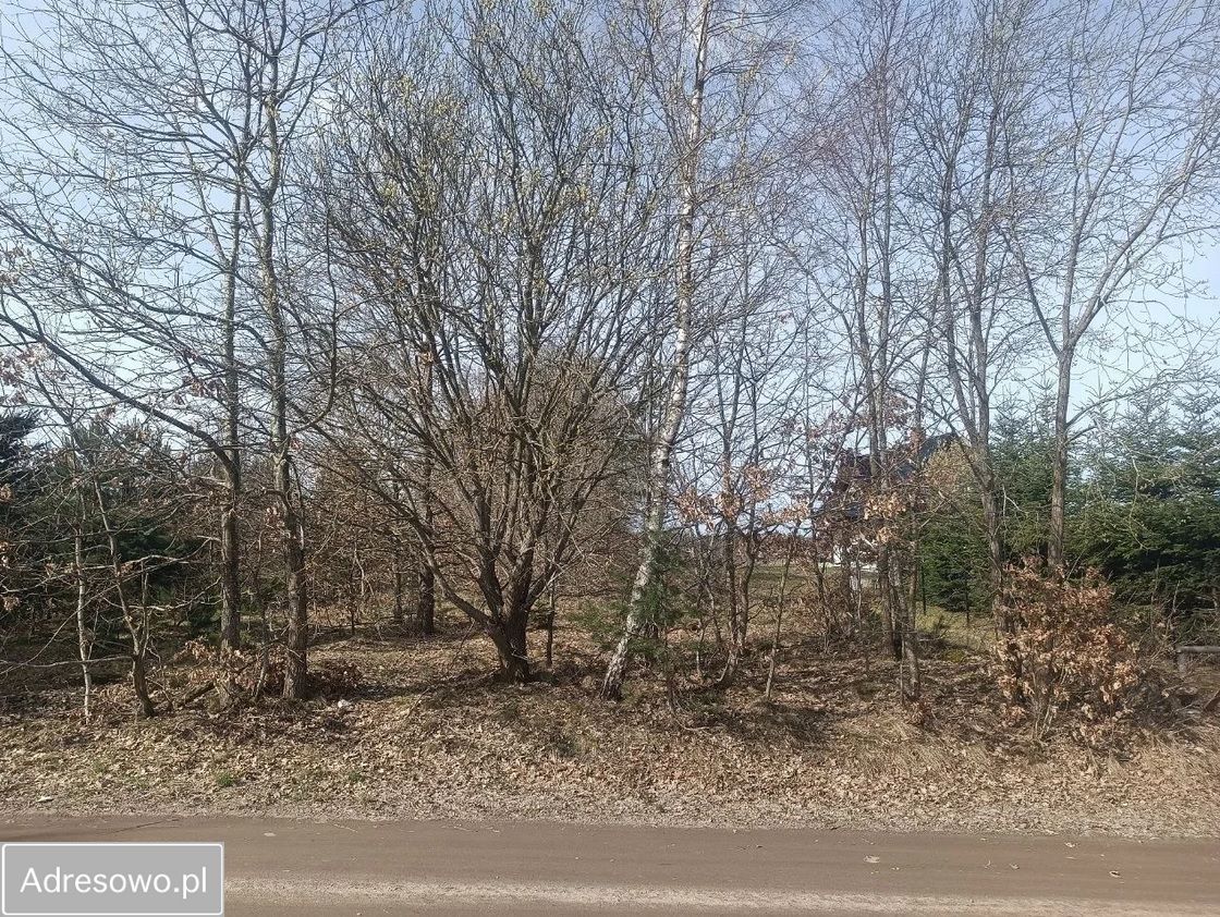 Działka budowlana Skrzeszewo, ul. Jeziorna. Zdjęcie 4