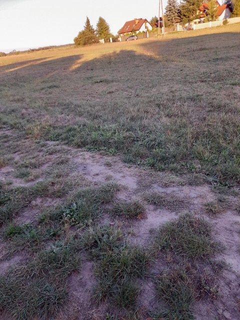 Działka budowlana Sitki