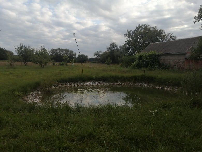 Działka budowlana Pomocnia. Zdjęcie 5