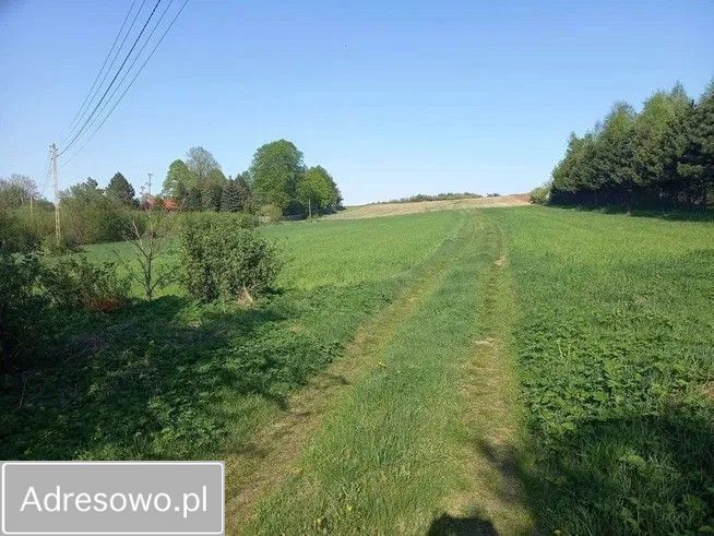 Działka budowlana Suliszowice. Zdjęcie 3