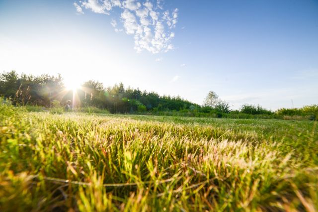 Działka budowlana Warszawa Ursynów, ul. Kurantów. Zdjęcie 16