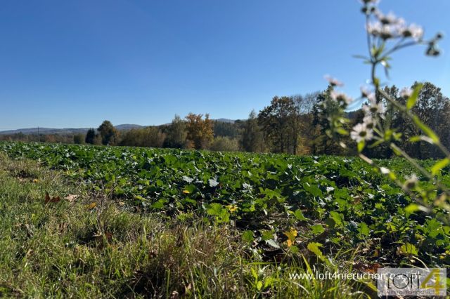 Działka budowlana Tuchów, ul. Ryglicka. Zdjęcie 9