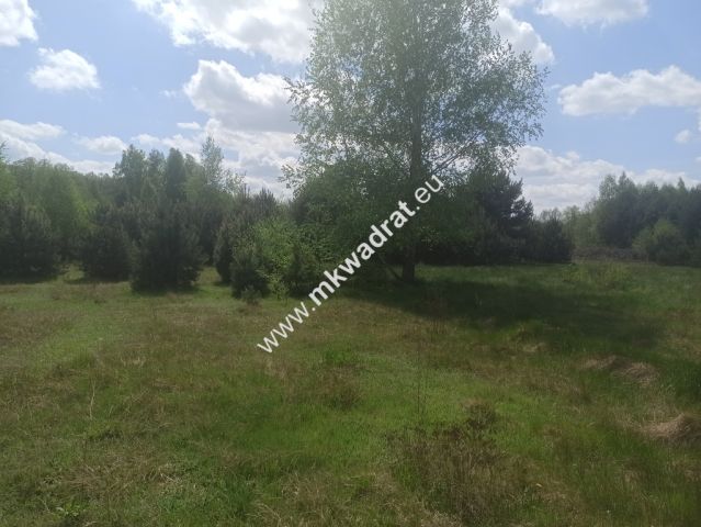 Działka budowlana Kuklówka Radziejowicka. Zdjęcie 6