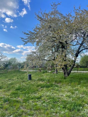 Działka rod Głogów. Zdjęcie 1