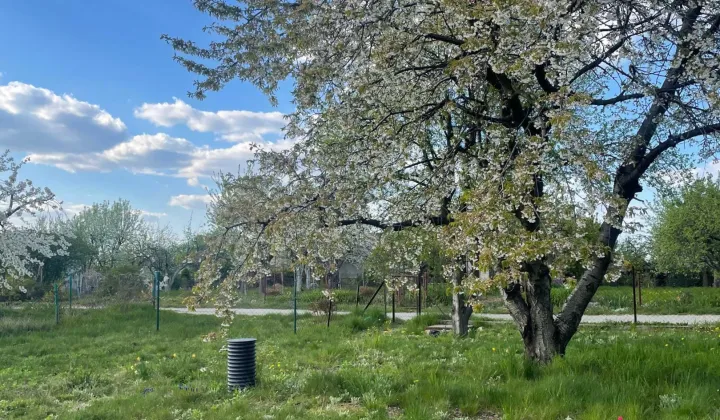 Działka rod Głogów