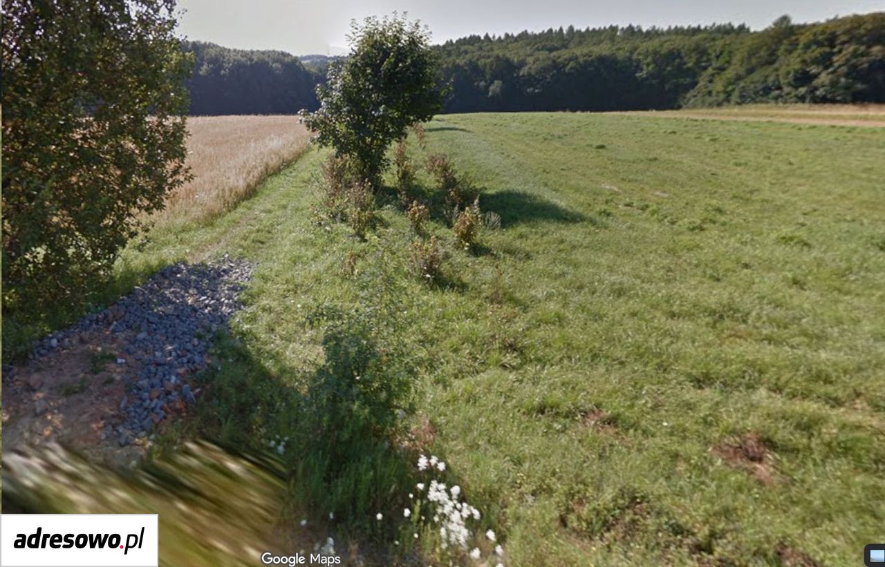 Działka budowlana Izdebnik, ul. Dworska. Zdjęcie 2