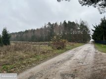 Działka leśna Adamów-Wieś, ul. Kaliny. Zdjęcie 2