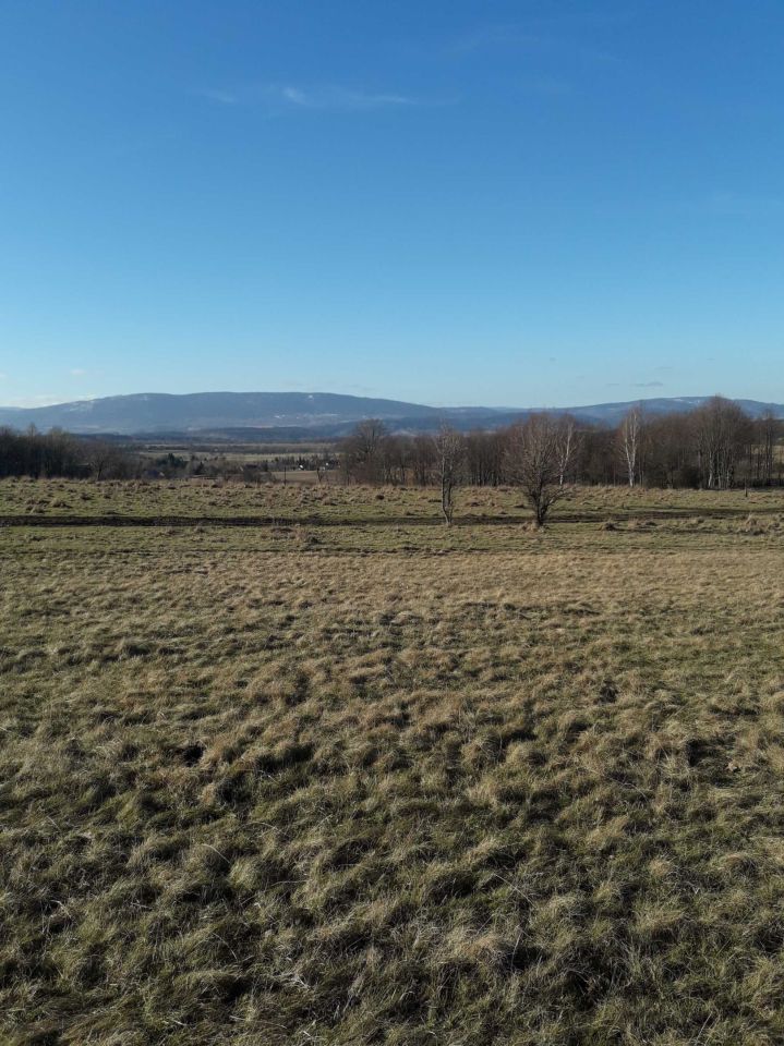 Działka rolna Wilkanów. Zdjęcie 4