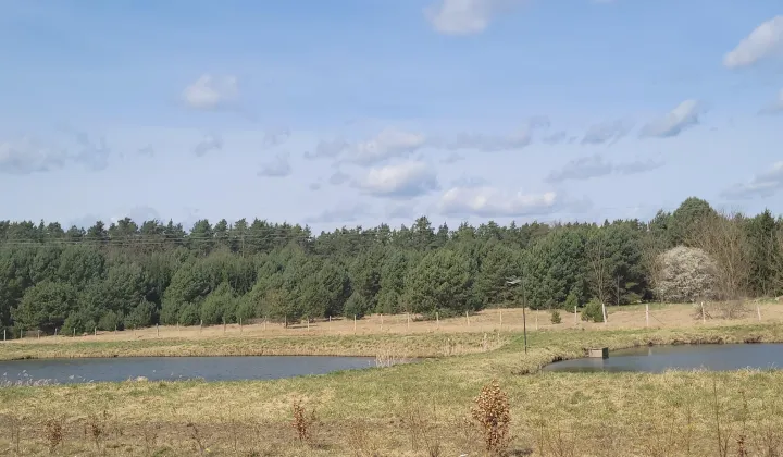 Działka budowlana Rzepinek, Krucza