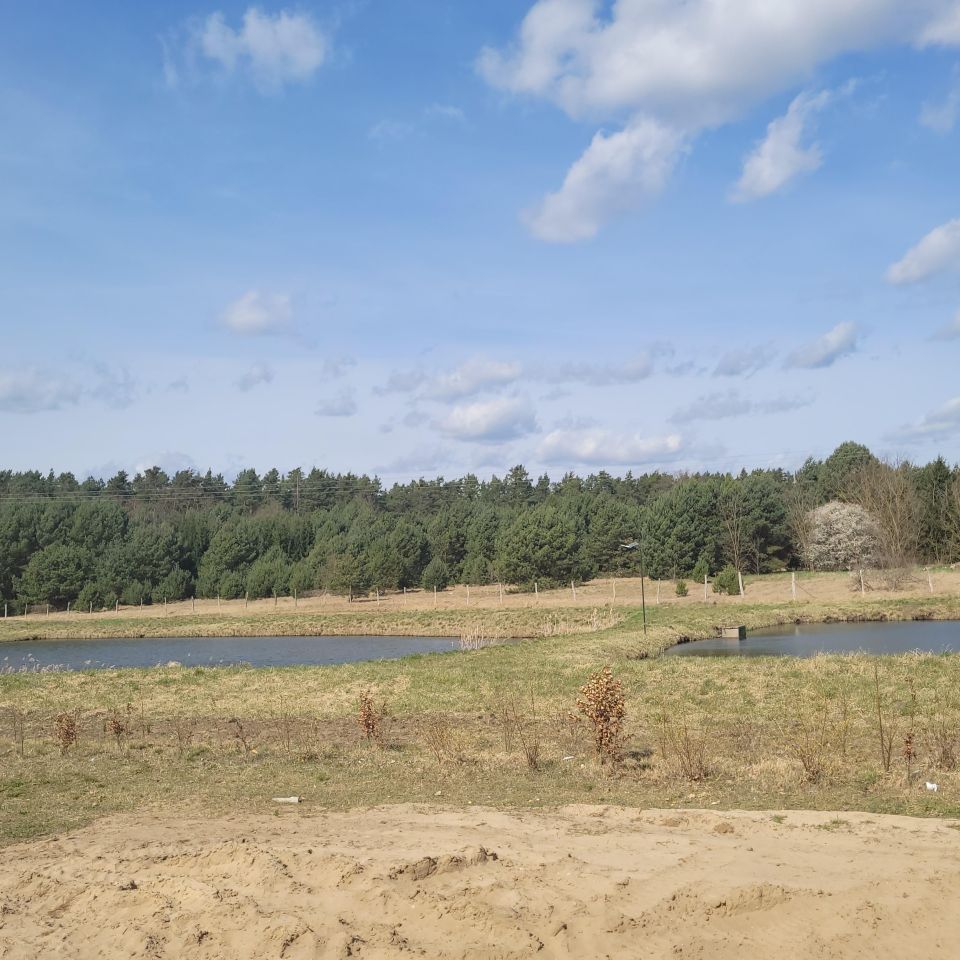 Działka budowlana Rzepinek, Krucza. Zdjęcie 1
