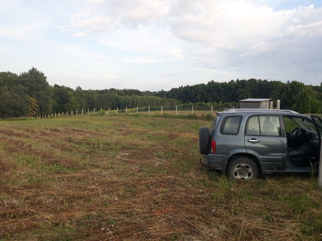 Działka budowlana Zalasowa, ul. Leśna. Zdjęcie 3