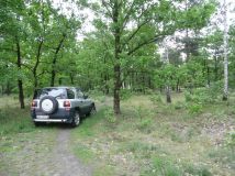 Działka leśna Warszawa Choszczówka, ul. Starego Dębu. Zdjęcie 1