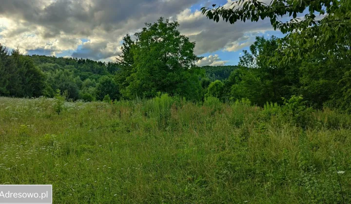 Działka budowlana Kobylany, ul. Skalna