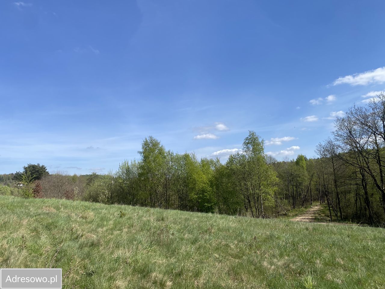 Działka budowlana Prokowo