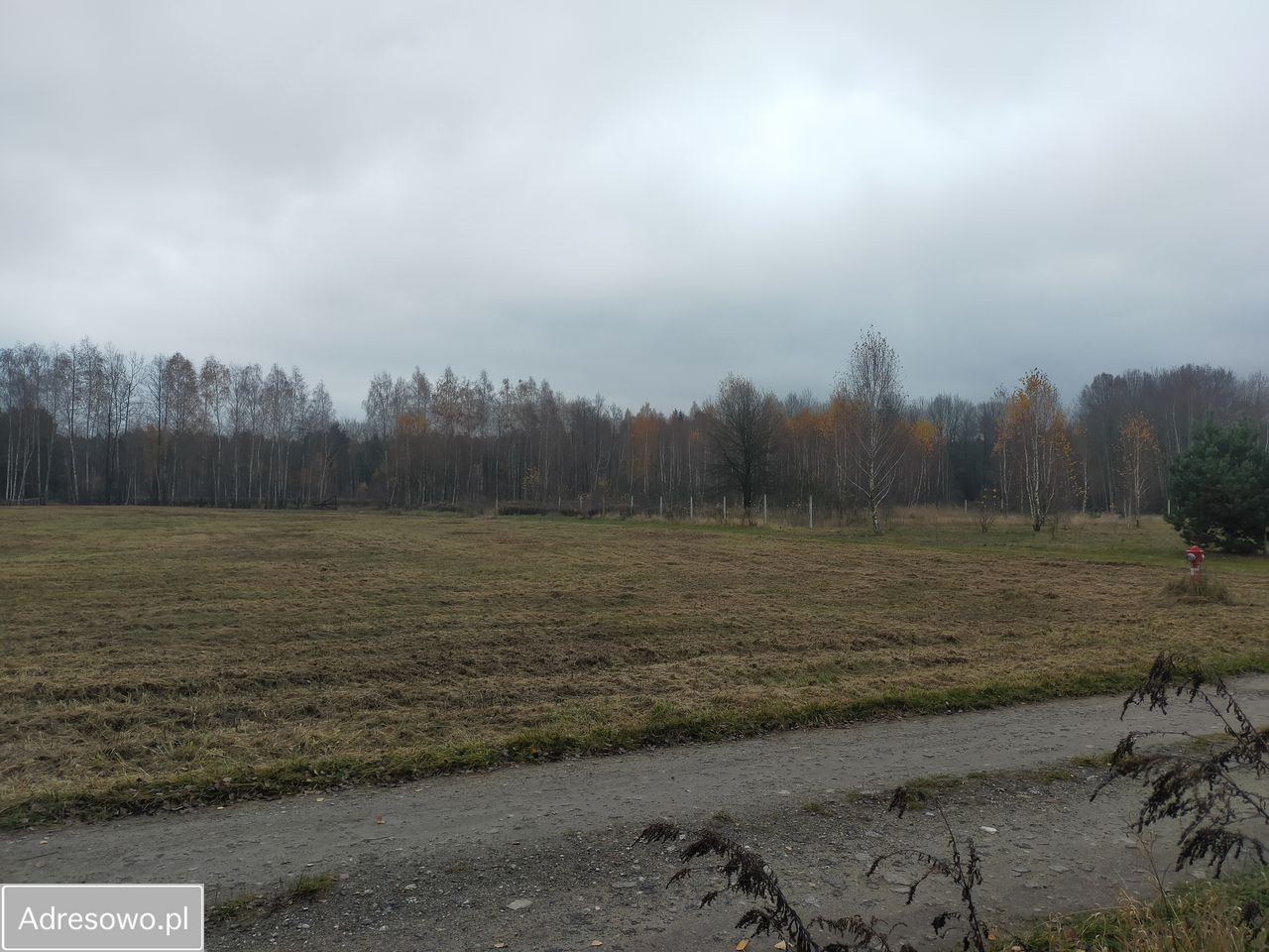 Działka rolno-budowlana Mokra Wieś. Zdjęcie 3