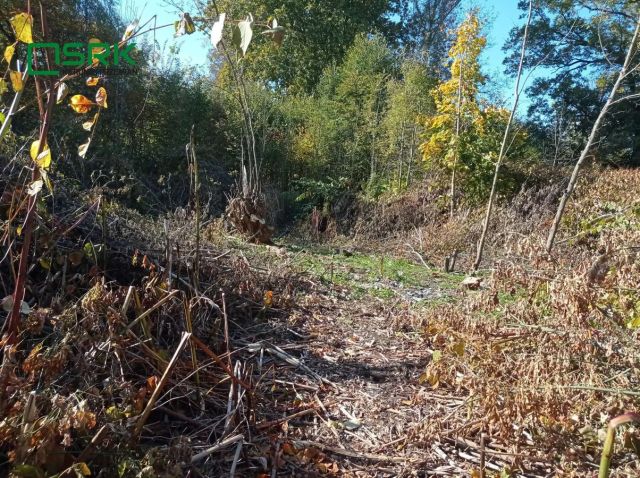 Działka budowlana Sosnowiec, ul. Konstantego Ildefonsa Gałczyńskiego. Zdjęcie 1