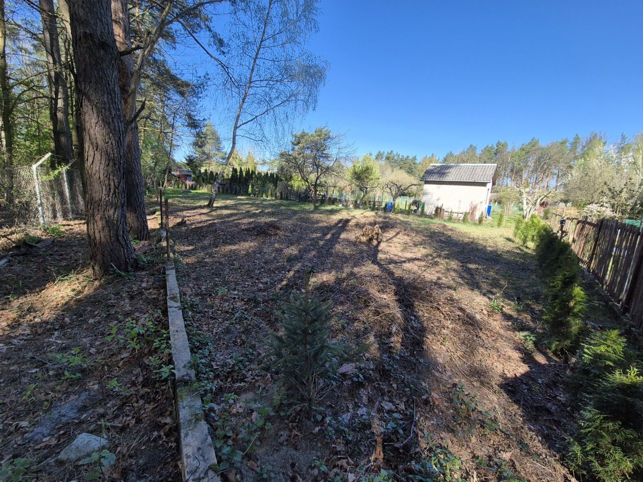 Działka rod Zielonka. Zdjęcie 4