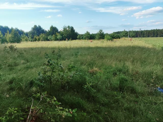 Działka rolno-budowlana Korzenno. Zdjęcie 1