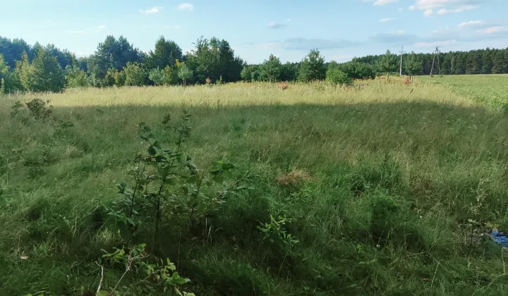 Działka rolno-budowlana Korzenno