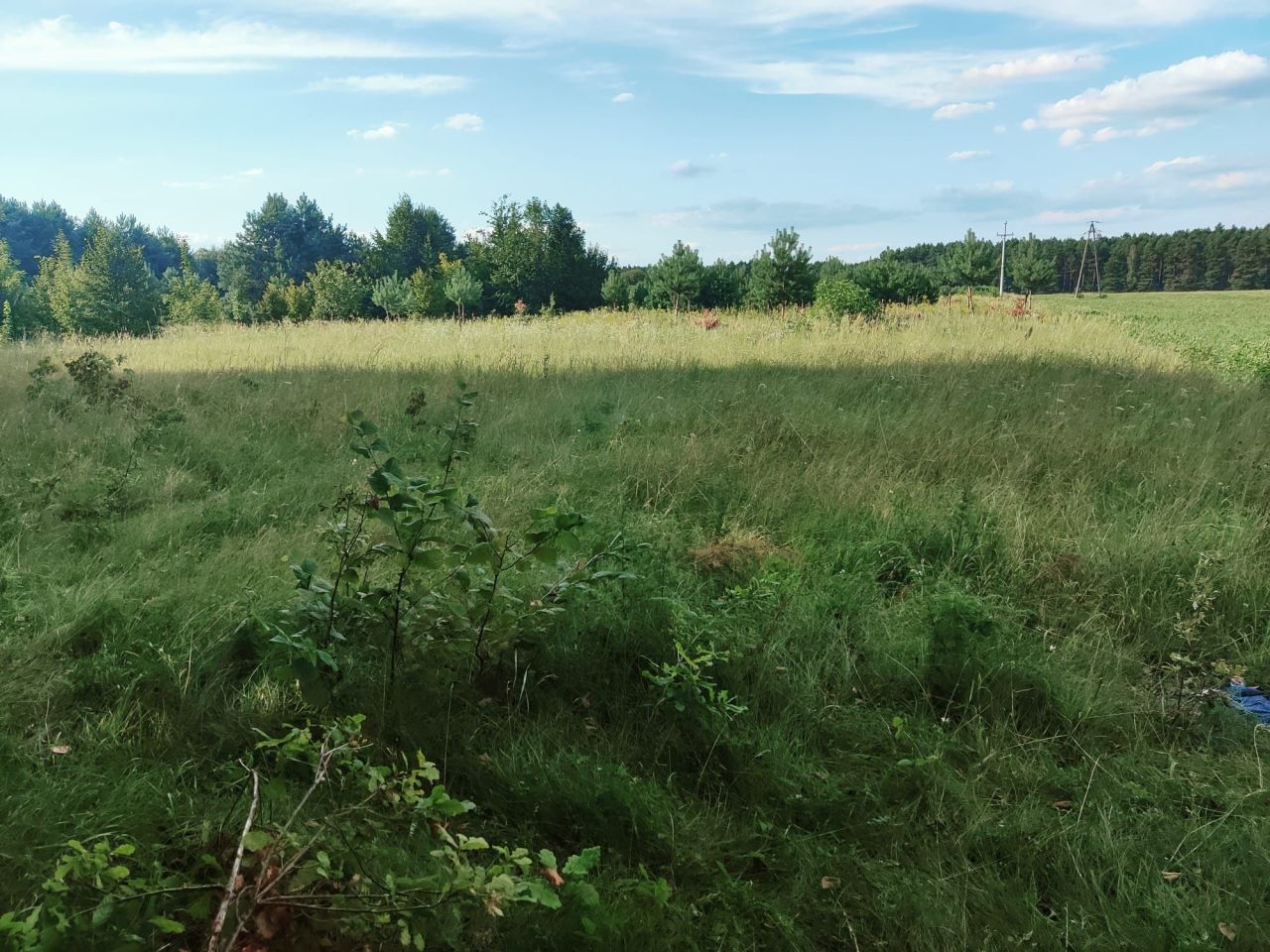 Działka rolno-budowlana Korzenno. Zdjęcie 1
