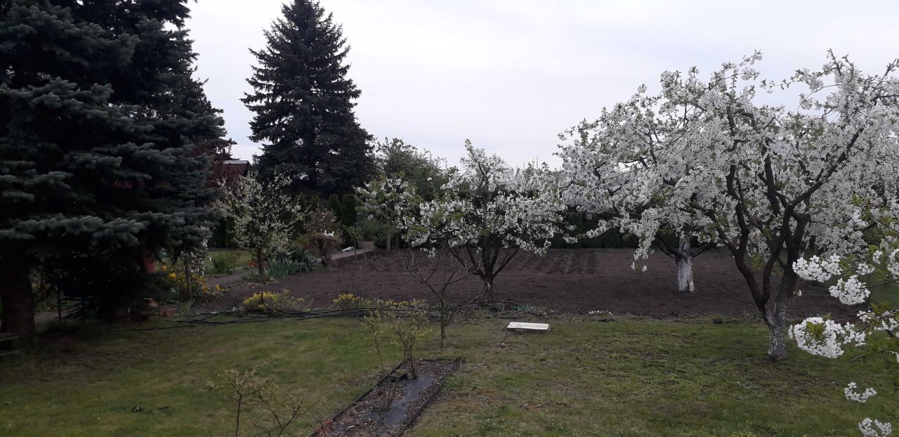 Działka rod Września, ul. Działkowców. Zdjęcie 5