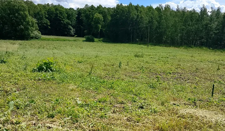 Działka budowlana Powidz Ługi, ługi