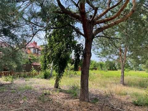 Działka budowlana Brwilno, ul. Kalinowa. Zdjęcie 6