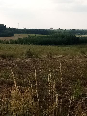 Działka rolna Joaniów. Zdjęcie 6