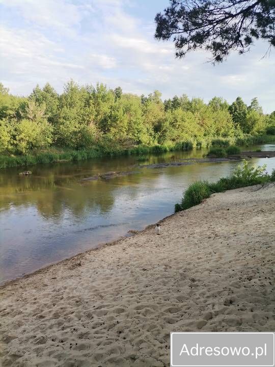 Działka rod Kamieńczyk, ul. Kukawska. Zdjęcie 9