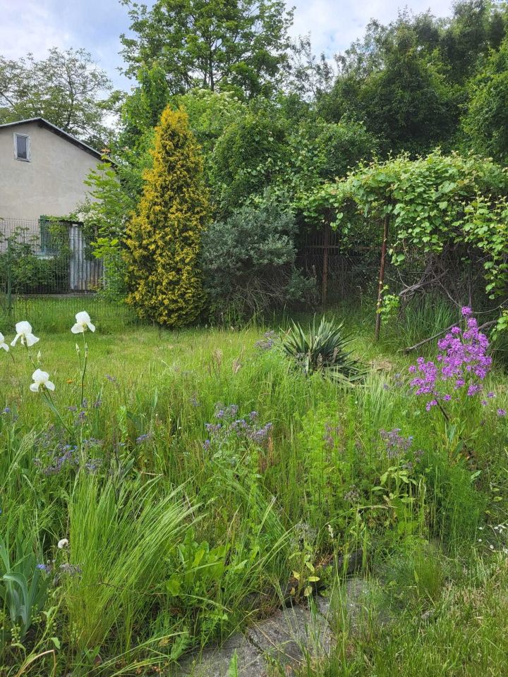 Działka rod Katowice Brynów, ul. Feliksa Bocheńskiego. Zdjęcie 2