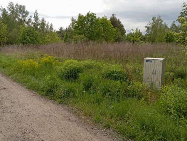 Działka budowlana Puszcza Mariańska, ul. Akacjowa. Zdjęcie 1